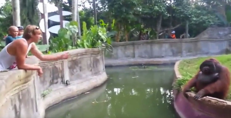 男子在动物园中丢给大猩猩一块糖果,没想到大猩猩竟这么做!休闲区蓝鸢梦想 - Www.slyday.coM 男子在动物园中丢给大猩猩一块糖果,没想到大猩猩竟这么做!休闲区蓝鸢梦想 - Www.slyday.coM