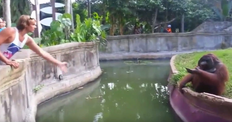 男子在动物园中丢给大猩猩一块糖果,没想到大猩猩竟这么做!休闲区蓝鸢梦想 - Www.slyday.coM 男子在动物园中丢给大猩猩一块糖果,没想到大猩猩竟这么做!休闲区蓝鸢梦想 - Www.slyday.coM