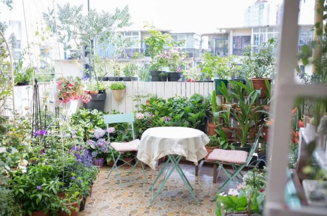 8个打造露台花园的小技巧一起见证露台花园变美感受幸福