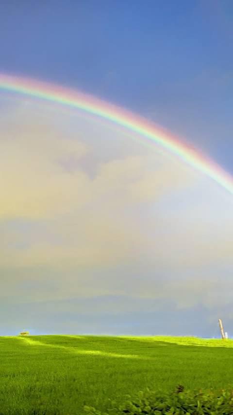 "斯人若彩虹,遇上方知有"听说看见双彩虹的人会很幸运