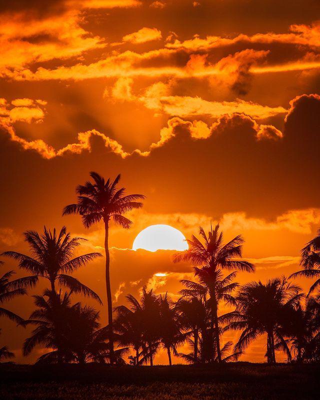 送你一抹橙色的日光dannydemarcos