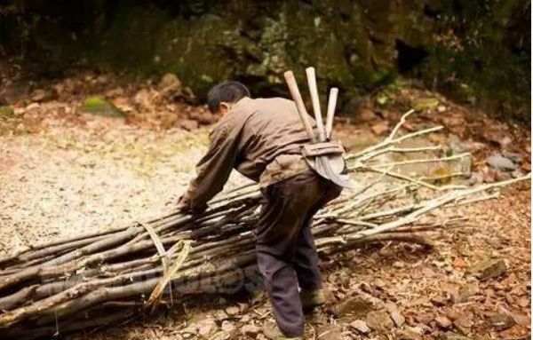 农村俗语“腊月三十登高台，正月初一要捡柴”，何意？有道理吗？|财富|高台|俗语_新浪新闻