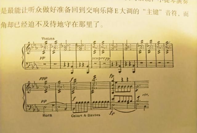 英雄交响曲|贝多芬|拿破仑_新浪新闻