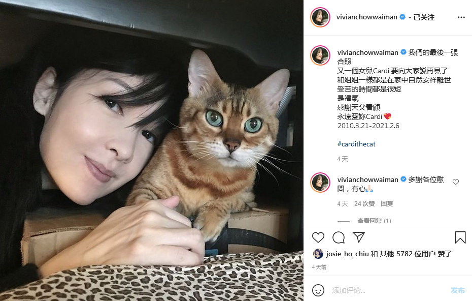 倪震独自外出购置年货不见周慧敏身影打扮毫无偶像包袱