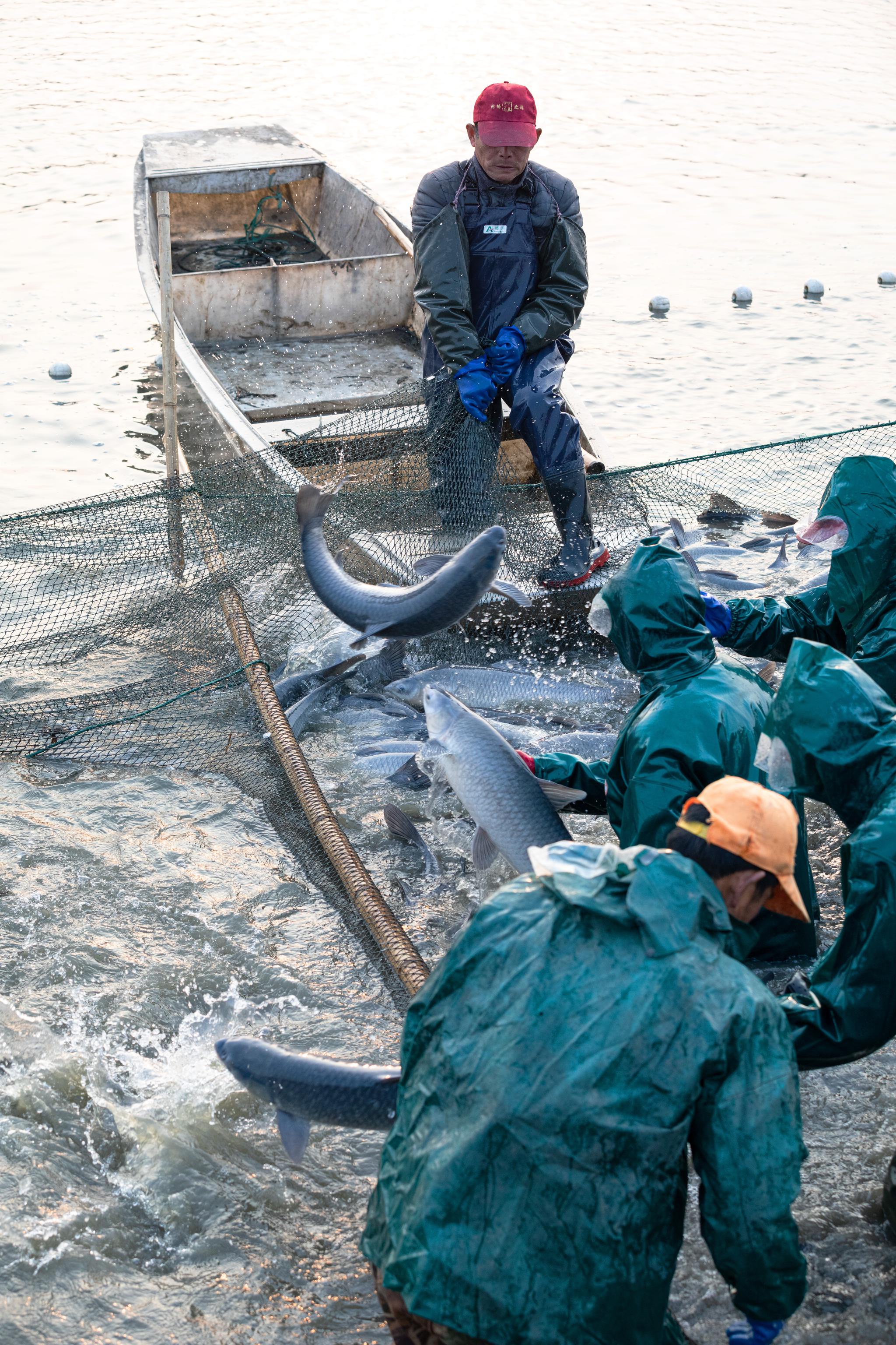 晒出镜头里的浙里年③丨年年有"鱼" 新年好兆头