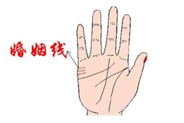 一生会拥有几个孩子看你手相就知道儿女线越深孩子也有出息