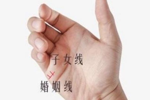 一生会拥有几个孩子看你手相就知道儿女线越深孩子也有出息