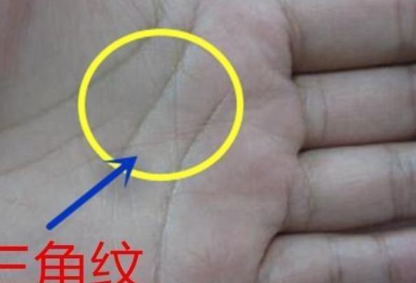 即生命线,事业线,爱情线,而这里所说的三角纹路就是指事业线,生命线和