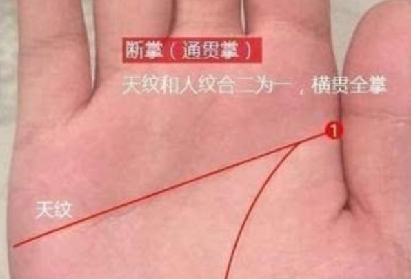 "男子断掌千斤两,女子断掌过房养",注定中年发财的手相!