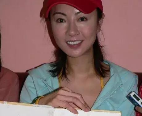 袁洁莹,1969年出生于中国香港,1985年时,她被导演黄百鸣发掘进入了