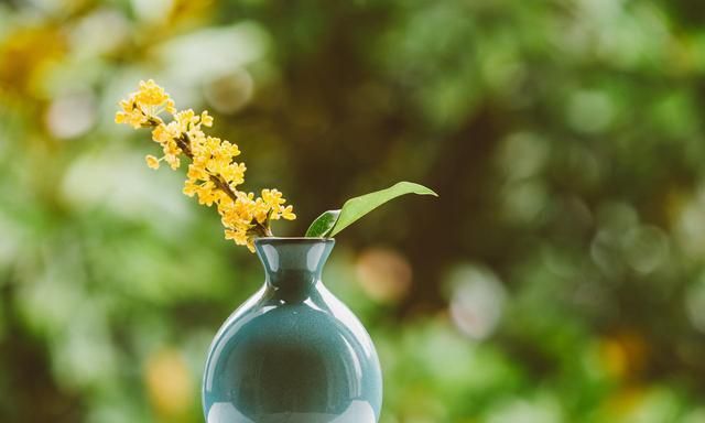 那些到了中年,反而越来越漂亮的女人,并不是因为会打扮休闲区蓝鸢梦想 - Www.slyday.coM