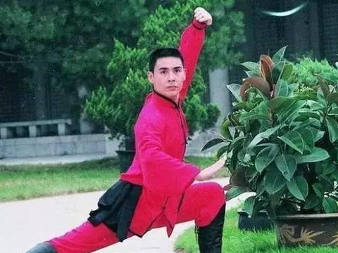 中国武坛唯一10连冠,却被三个混混打进医院|赵长军|甄子丹|武术_新浪