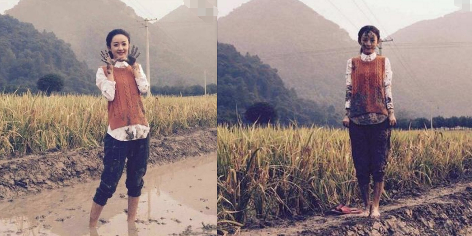 明星回老家大比拼有人接地气有人耍大牌干农活打麻将样样行