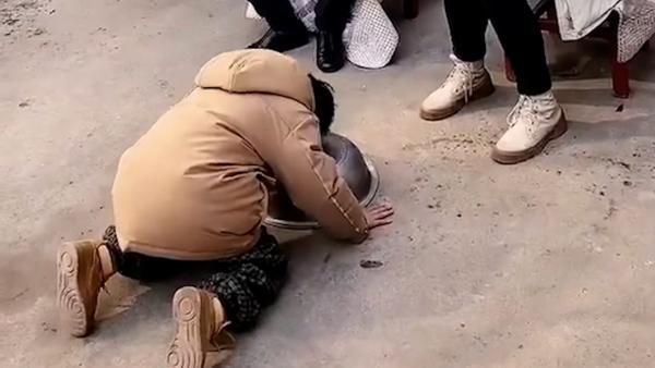 爸爸带儿子给长辈磕头拜年,一头下去面前的盆扁了