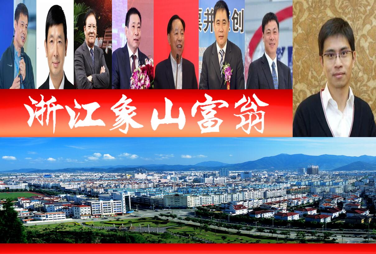 上有名,即是:宁波锦浪新能源科技股份有限公司控股股东王一鸣(80亿元)