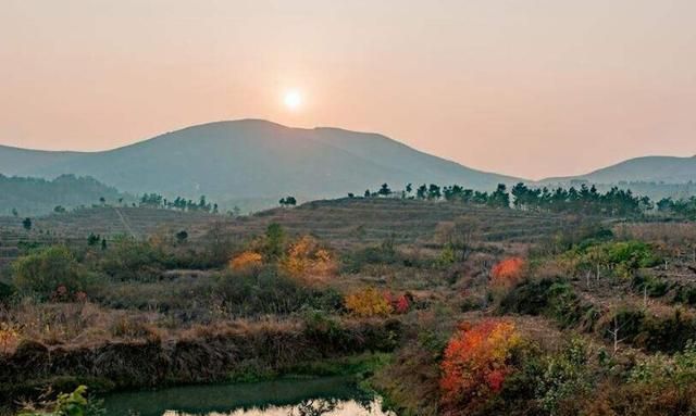 农业人均gdp_淄博人均GDP增长形势好,农业科技化出力可不小