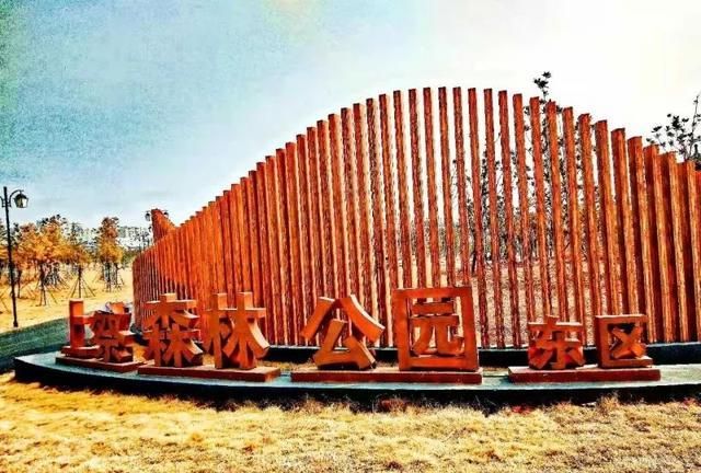 上蔡这个公园,改名了!|上蔡|公园|森林公园_新浪新闻