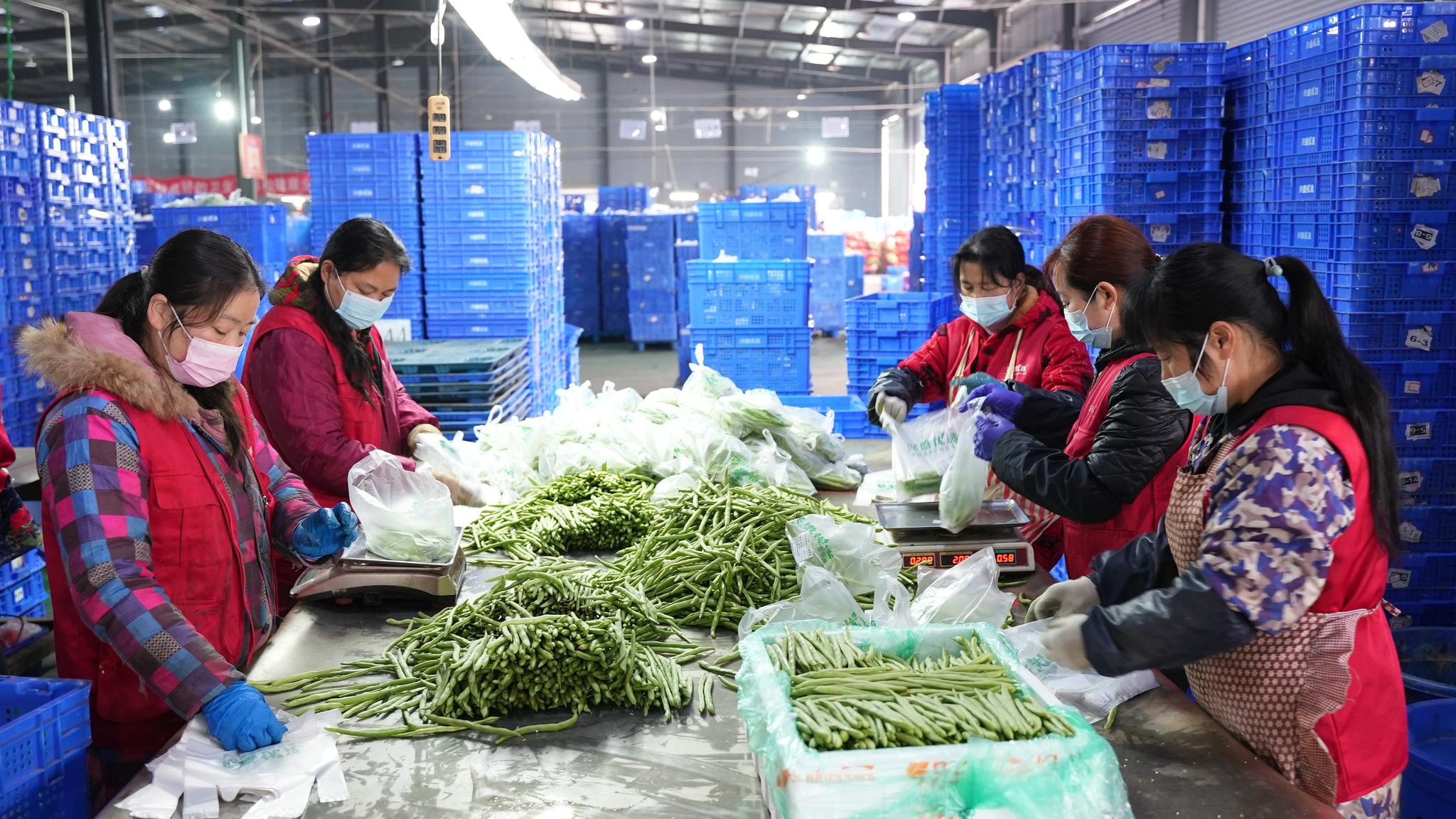 工作人员在兴盛优选湖南生鲜仓分拣蔬菜.