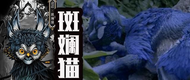 首先斑斓猫是斗罗大陆上的十年魂兽,还是猫科类型的魂兽.