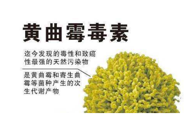 做好6件事,黄曲霉素离你远远的,肝癌不相见