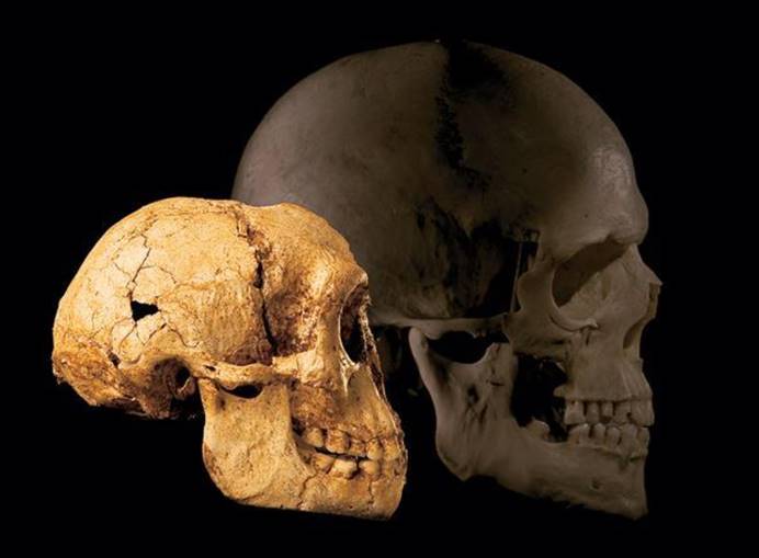 史前时期,地球上至少存在21种人类,如今他们都去哪了?