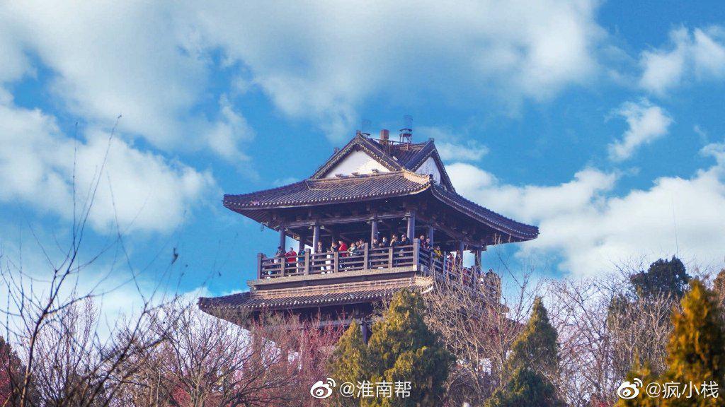 淮南舜耕山梅园早春的梅花悄然绽放photoby