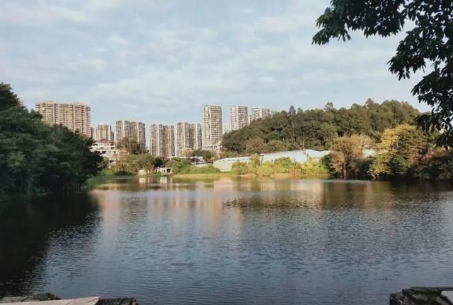 正文  大灵山,是广州市天河区珠吉街道的文化名山,位于珠村和吉山两村