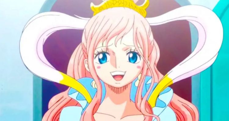 海贼王适合成为女朋友的角色是谁网友们投票评选她是第一