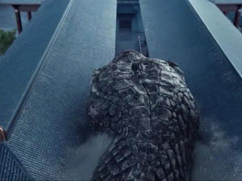 在我的运筹帷幄之下,祸蛇降世了.于是,我们决定下一盘大棋.