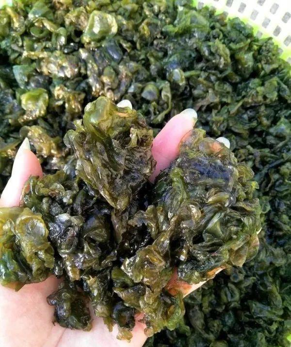 一场春雨过后,地上长出地皮菜,味道及其鲜美,清洗很麻烦