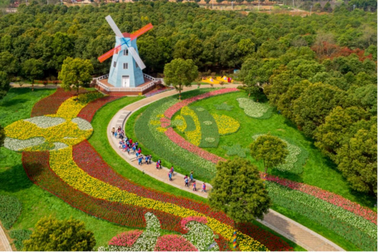 百亩花海东西湖郁金香主题公园春季花展2月26日开幕