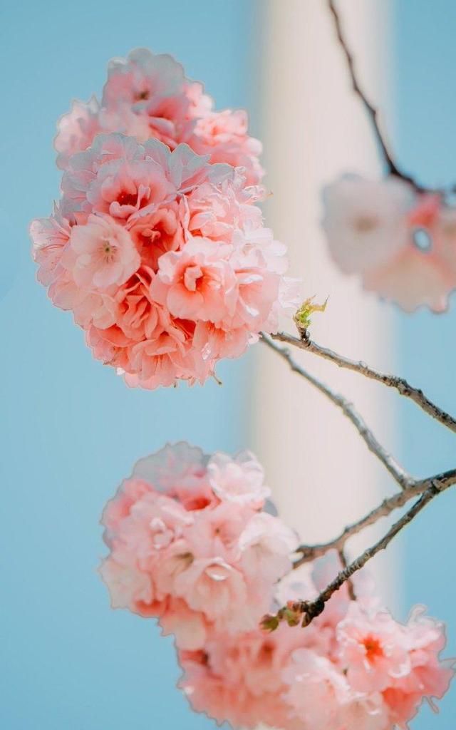 清晨最暖心的唯美语录,温暖美好,沁人心脾!