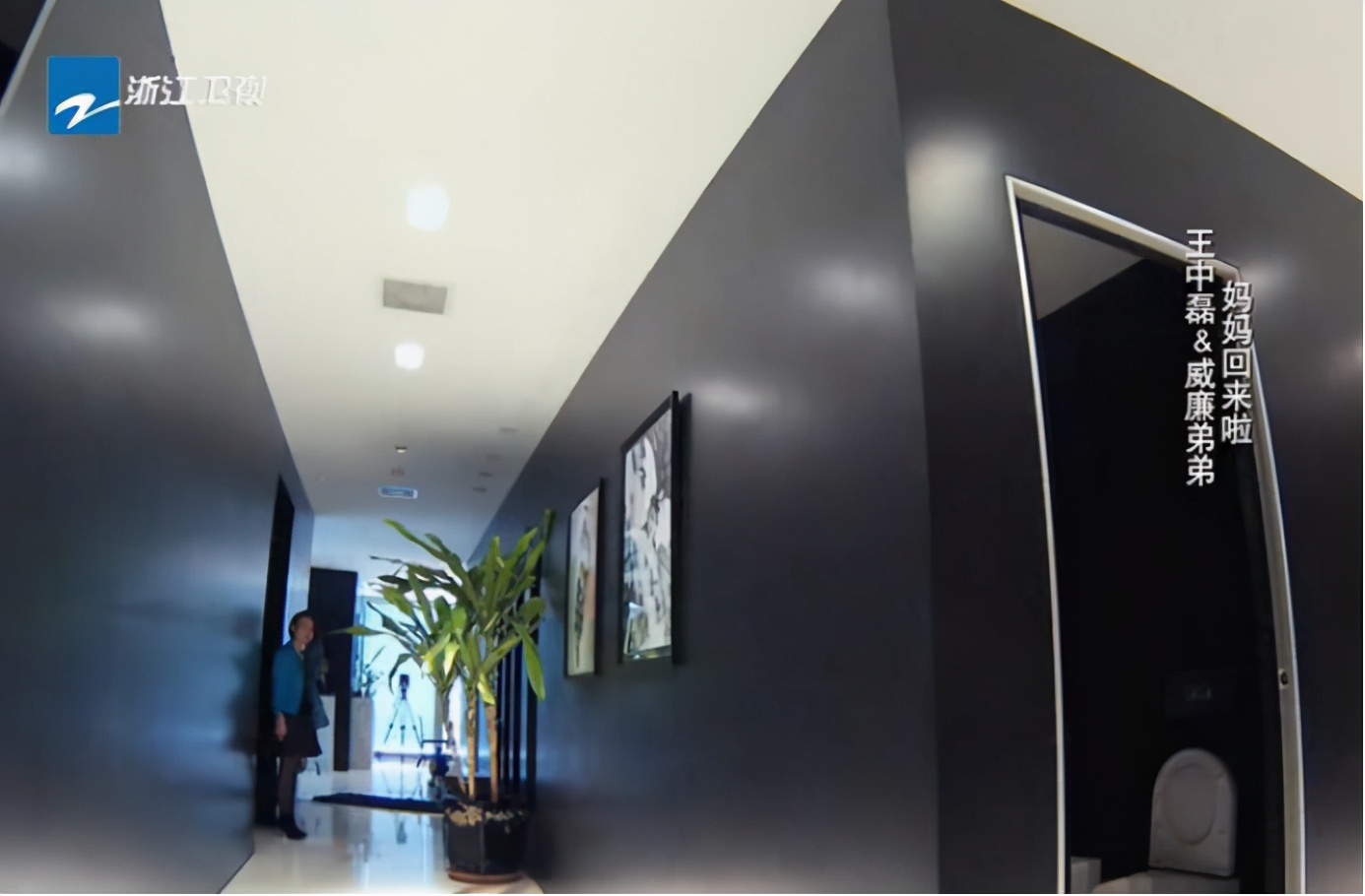 从外面看就知道这个小区的价格也是不菲了,尤其再看到王中磊的家以后