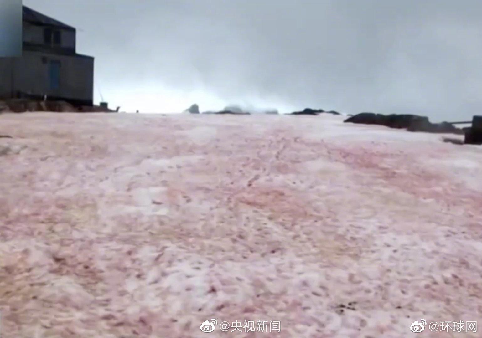 警惕南极又出现西瓜雪