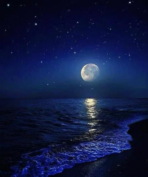 有点伤感的句子写给夜不能寐的你