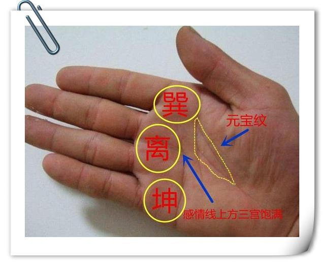 不论男女此三宫饱满者富贵钱财不愁婚姻美满