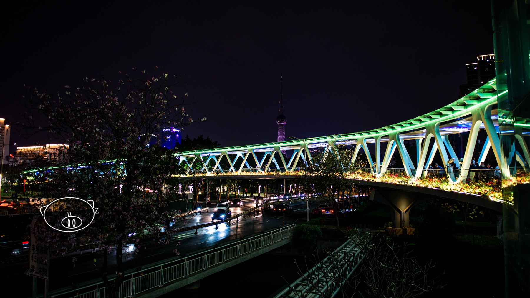 佛山亚艺公园上方一条亮着多彩灯光的飞龙