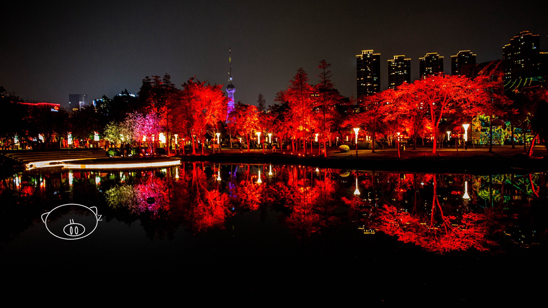 佛山亚艺公园上方一条亮着多彩灯光的飞龙