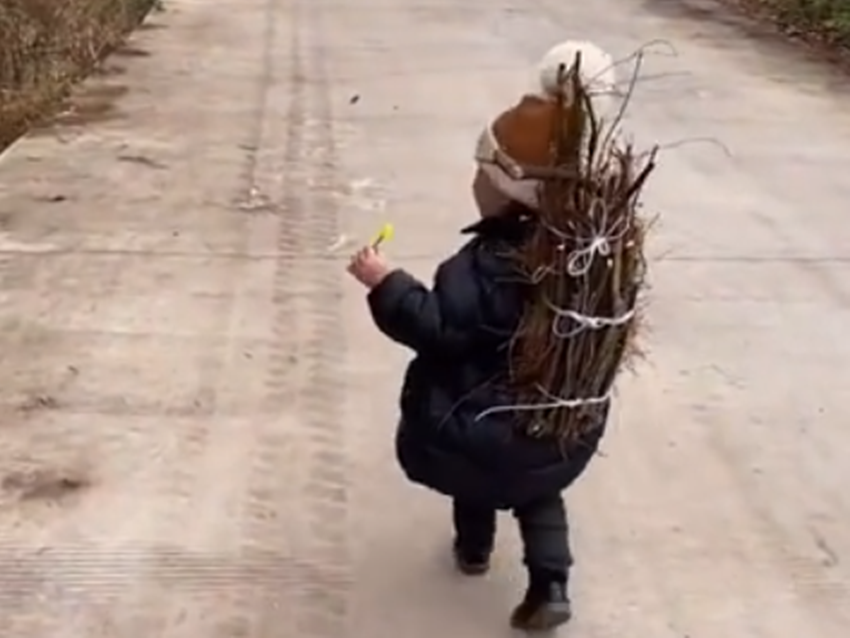 2岁萌娃跟家人一起上山砍柴获高赞网友居然知道自己背着