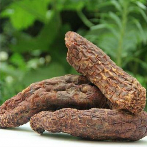 正宗肉苁蓉泡酒方法有什么功效功效与作用可以泡酒喝吗