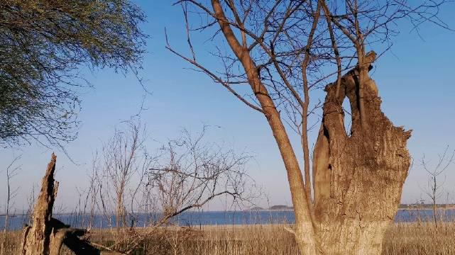 安庆长风沙情花谷沙滩:一江看二桥