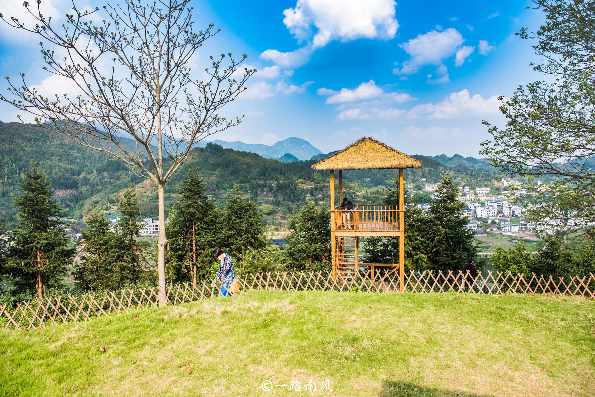 登上园村的观景台,看山脉连绵,闻茶叶飘香,感觉美妙.