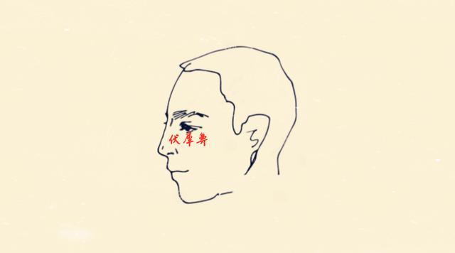 鼻子类型看贫富六种鼻子六种命你是哪种就是什么命