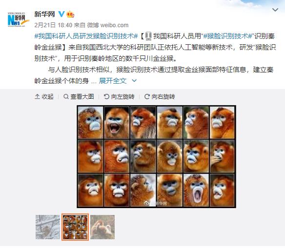 我国科研人员研发“猴脸识别技术”识别成功率达94%