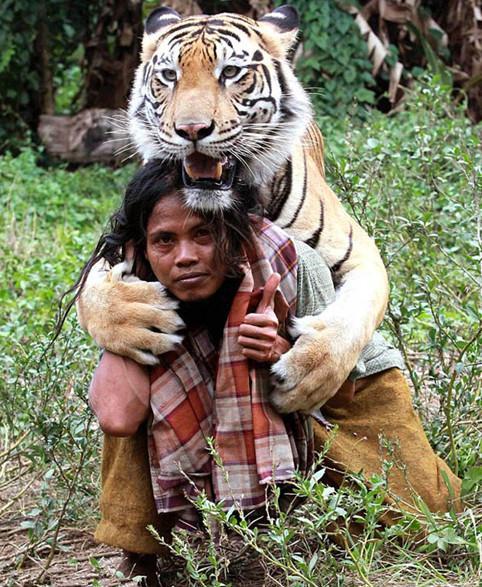 白天他们都在一起玩耍,这是他与老虎的合影,老虎从身后抱着他,看起来