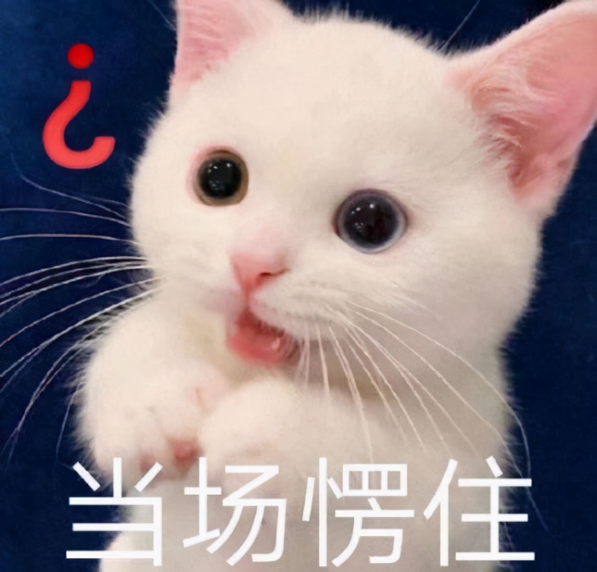 表情小奇脚下已经替吾爱cp抠出三室一厅了面对吴白和艾情如此苍白无力