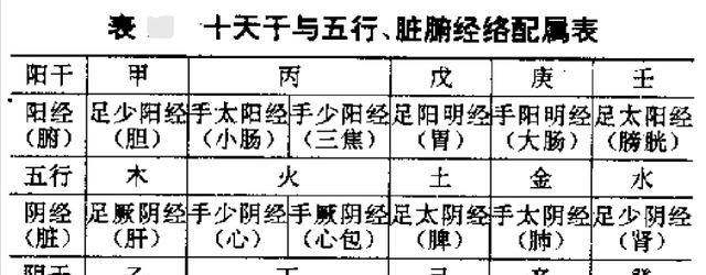 一文搞懂“天干地支”是如何配属脏腑经络的|脏腑|表里|经络_新浪新闻
