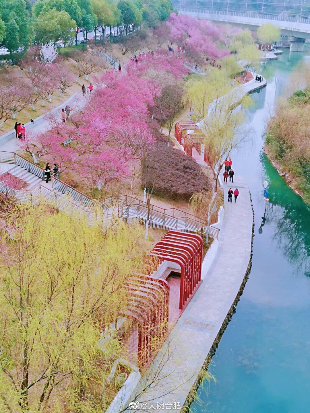 匡河公园替你们踩过点了春天的合肥匡河公园是五颜六色的海洋