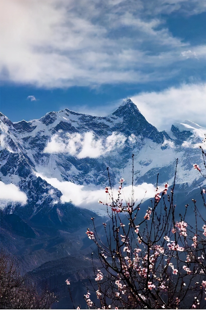 没去过墨脱,不算走遍西藏!