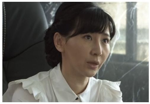 而且,就连女配角都让人过目不忘,叶寸心的妈妈是《潜伏》里的徐宝凤